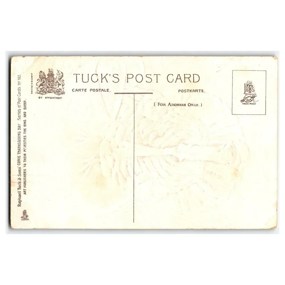 Raphael Tuck Thanksgiving Dressed Turkey Comic Postcard Series 162 Embossed